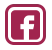 icon facebook